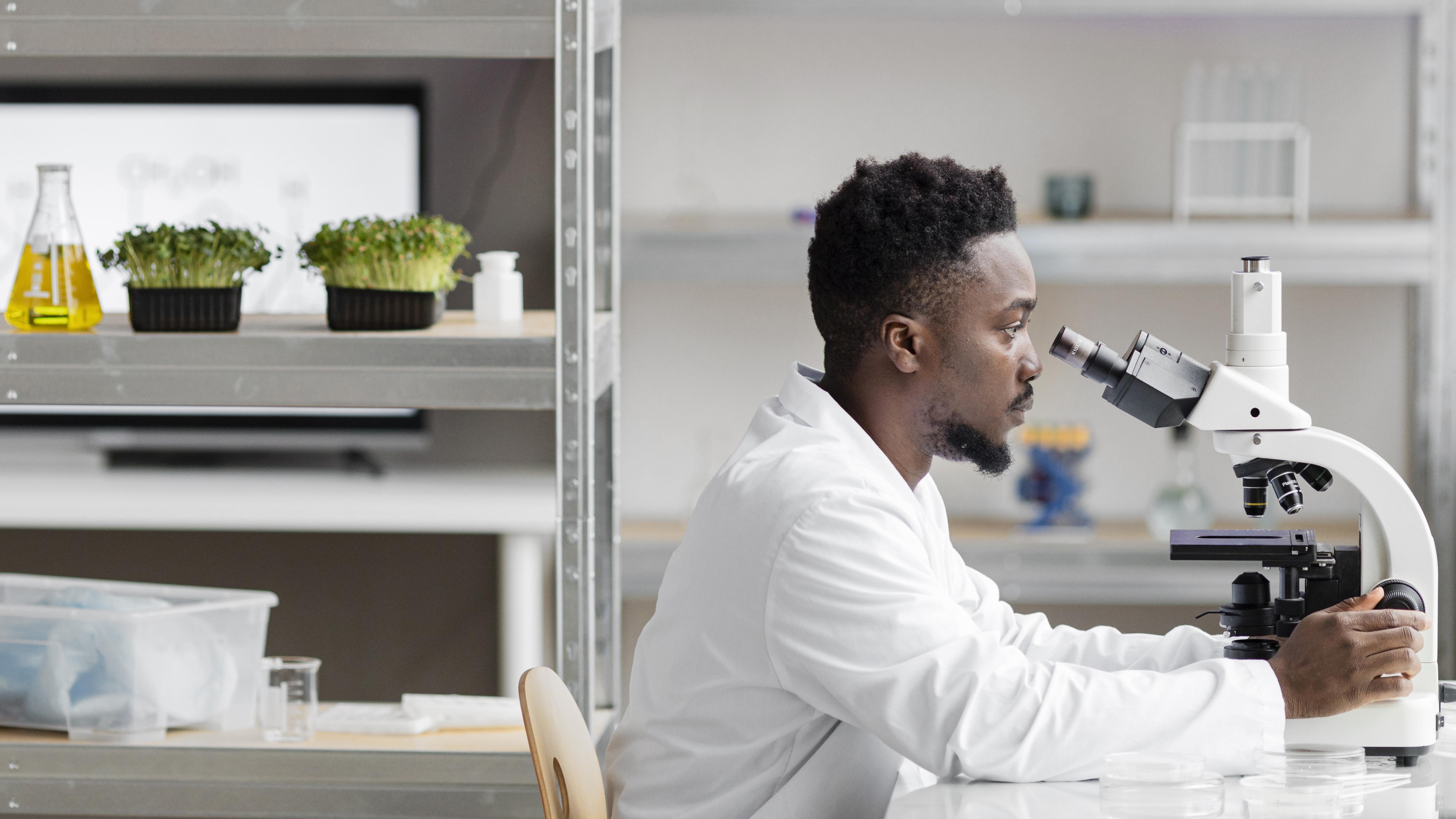Publications Scientifiques